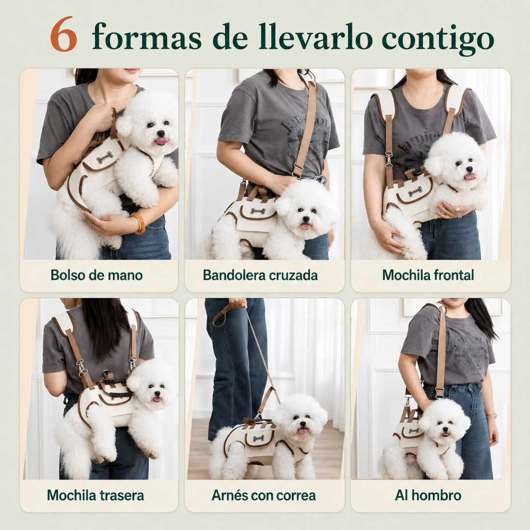 Transportín 6 en 1 para perros pequeños